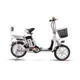 Electric Bike for Family thumbnail-1