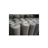 Welded Wire Mesh