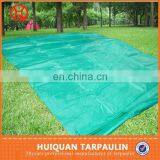 160g Polyethylene UV-treated greenhouse fabric cover