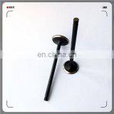 Oem 4A13-1007011 4A13-1007017 Engine Valve for 4A15 thumbnail-5