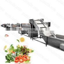 Industrial Fruit Vegetable Air Bubble Cleaning  Cucumber Leek Washer Tomato Strawberry Cassava Washing Machine