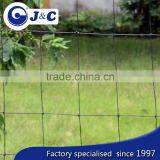 Anti Bird Protection Netting Use for Vineyard, Anti Bird Protection Net,PE Anti Bird Netting thumbnail-3