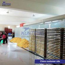 Energy-saving Vegetables Fruits Drying Processing Line thumbnail-4