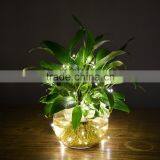 Solar Powered LED Fairy String Lights Waterproof Starry Copper Wire Light Ambiance Lighting thumbnail-2