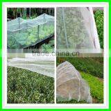 Polythene Anti Insect Netting Export Thailand thumbnail-2
