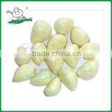 2014 High Quliaty Fresh Peeled Garlic Clove thumbnail-1