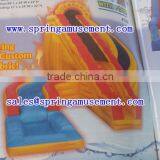 Super Cool Inflatable Water Slides With Pool SP-PS009 Supplier's Choice