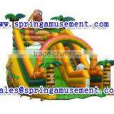 High Quality and Cheap Inflatable Slide, Inflatables, Inflatable Water Slide SP-SL097