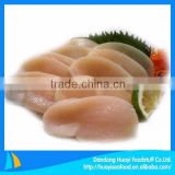 Chinese seafood supplier export frozen comb pen shell with competitive price