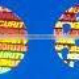 Tamper Evident (TE) Hologram thumbnail-1