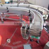 Slat Chain Conveyor System thumbnail-1