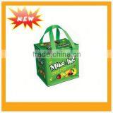 Recycle pp Woven Cooler Bag