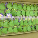 Artificial Small Waterlily