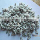 New crop cotton seeds from Africa