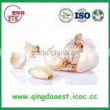 Jinxiang Fresh Best Price Normal White Garlic on Sale thumbnail-3