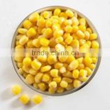 fresh canned sweet corn for sale