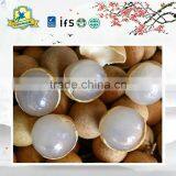 Best Selling Canned Longan in Light Syrup From Manufactory