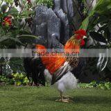 Dance Plush Chicken Toy for Garden Decoration thumbnail-6