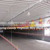 Standardized Chicken/broiler Shed Equipment Producers thumbnail-4