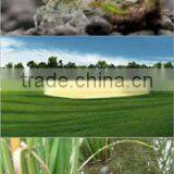 High Water Solubility Fulvic Acid Powder thumbnail-5