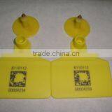 Ear Tag thumbnail-1