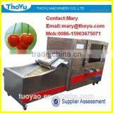 Professional Cheery Stone Remove Machine(SMS: 0086-15903675071) thumbnail-1