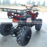 AOS125 Mini Buggy Truck For Beach Or Dune Amusements And Sports thumbnail-5