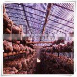 Black and White PE Plastic Lamination Film for Mushroom thumbnail-1