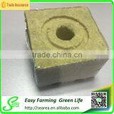 Rock wool cube for greenhouse hydroponic