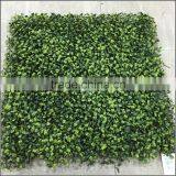 New Plastic Milan Boxwood Panel