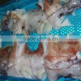 Frozen Giant Squid Raw Necks thumbnail-3