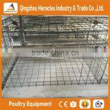 Trade Assurance Layer Chicken Cag-- H Type Cage Chicken Equipment thumbnail-4