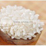 Instant Green Bean Vermicelli thumbnail-2