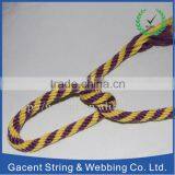 Pet toy string