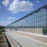 Commercial Glass Greenhouse With Clear PC Sheet Roof thumbnail-1
