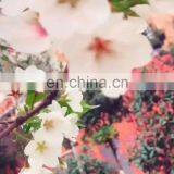 Питомцевые одеяла для маленьких собак, кошек и щенков. Легкие и прохладные, милые капюшоны с граффити, маленькие халаты. Одежда для домашних животных thumbnail-1