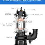 WQ Series High Head Big Flow Cast Iron Sewage Pump thumbnail-4