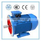 YE3 Series Electric Motor Sale Three Phase Induction Motor for Industry Machinery 3 Phase Asynchronous Motor thumbnail-3
