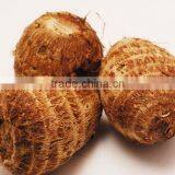 Best Price Fresh Taro From Vietnam/ High Quality Taro