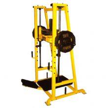 Hammer Strength Vertical Leg Press