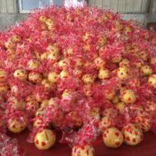 Color Pomelo (shaddock) thumbnail-4
