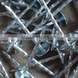 Umbrella Head RoofingNail