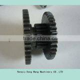 Duplex Spur Gear