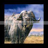 2013 Latest 3D Poster of Animal for Home Decoration 3D Lenticular Wall Picture