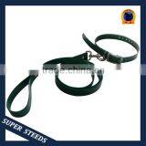 Dog Show Leads thumbnail-1