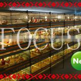 Focus industry layer chicken battery cage sell at cheap price