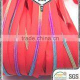High Quality Nylon Rainbow Teeth Zipper