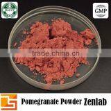 100% Natura Bulk Powder 10:1 Pomegranate Juice Concentrate thumbnail-6