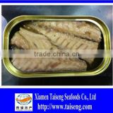 Canned Mackerel /Canned Fish