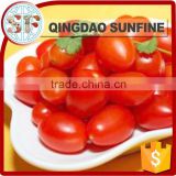 Health food preserved dried cherry tomato